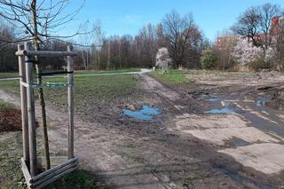 Miasto chwali się Parkiem Krzyckim. Na hucznym otwarciu mieszkańcy zastali plac budowy 