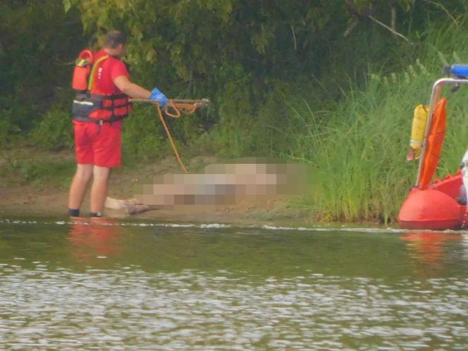 Tragiczne zdarzenie w Nowym Dworze Mazowieckim. Młody chłopak chciał przepłynąć Narew wpław