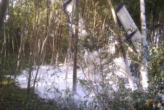Wypadek awionetki pod Płońskiem! Maszyna runęła prosto na drzewa!