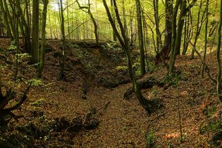 Województwo łódzkie ma trzy nowe rezerwaty przyrody