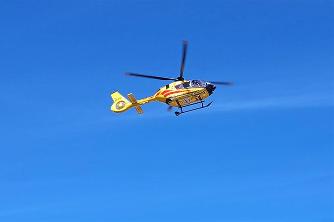 Czołowe zderzenie ciężarówek na „starej trójce”! Nie żyje kierowca