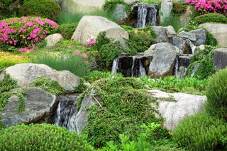 Skalniaki: rosliny i kamienie w ogrodowej kompozycji