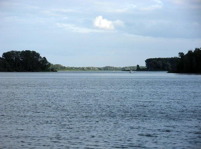 Gopło