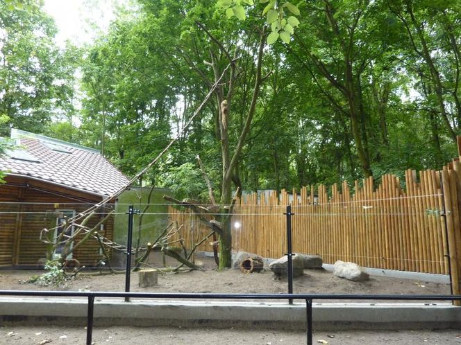 ZOO w Nowym Tomyślu