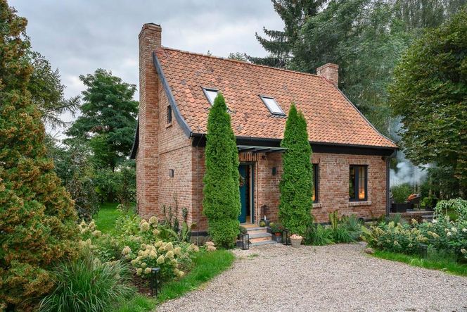 Metamorfoza siedliska na Mazurach