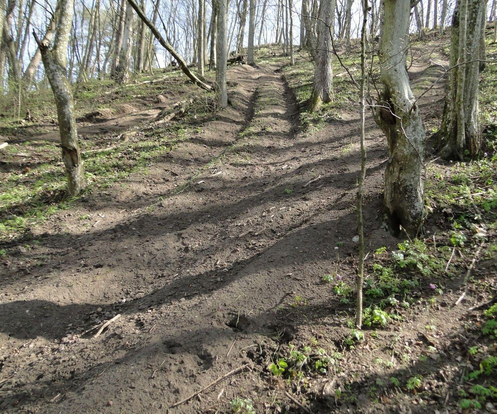 Obiekt na Mazurach ma ponad 2 tysiące lat. Jest regularnie dewastowany