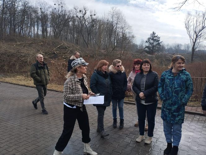 Kontrowersyjna wycinka drzew pod trasę N-Ś w Rudzie Śląskiej. Mieszkańcy: "to jest fałszerstwo na duża skalę, to skandal"