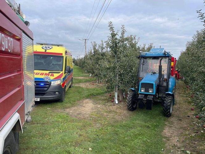 Tragedia w sadzie. Śmiertelny wypadek w Święcicy pod Sandomierzem. Mężczyzna przejechany przez platformę rolniczą