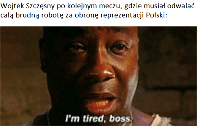 Polska - Francja MEMY