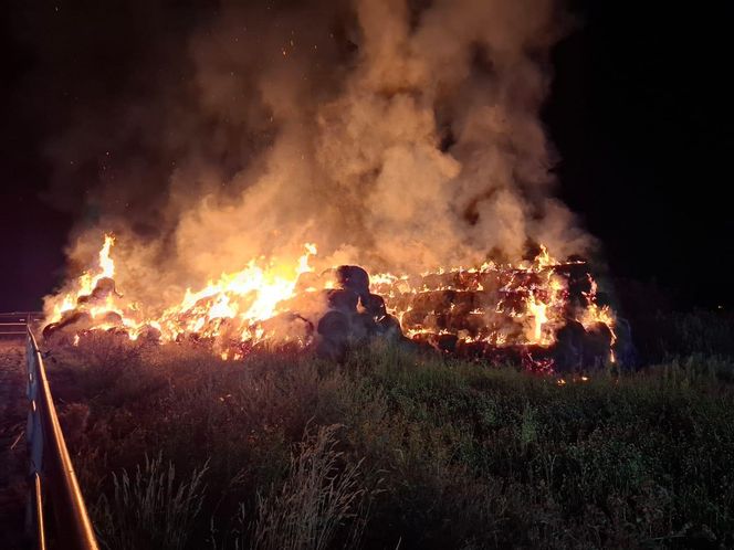 ​Pożar na Ostroroga w Lesznie. Spaliło się 600 balotów słomy 