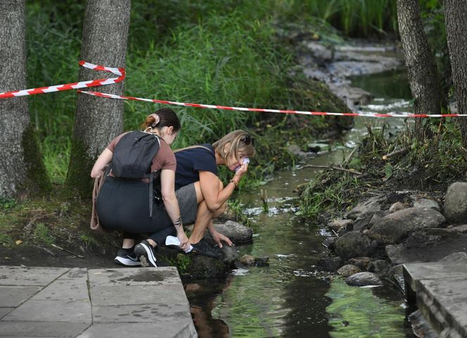 Obchody Święta Przemienienia Pańskiego na Grabarce 2025