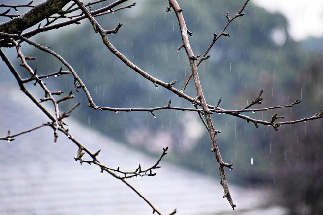 Pogoda dzisiaj, Warszawa poniedziałek, 29 listopada. Zima nadciąga do stolicy?