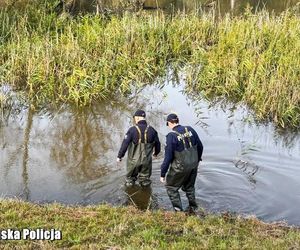 Słubice pod szczególnym nadzorem służb