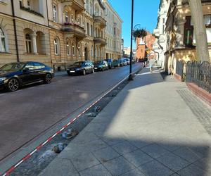 Bydgoszczanie marzą o roślinach wzdłuż ulicy, a drogowcy chcieli tam słupków. Jest reakcja na protest