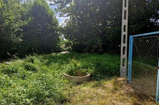 Druhowie z Iwonicza uratowali sarenkę. 