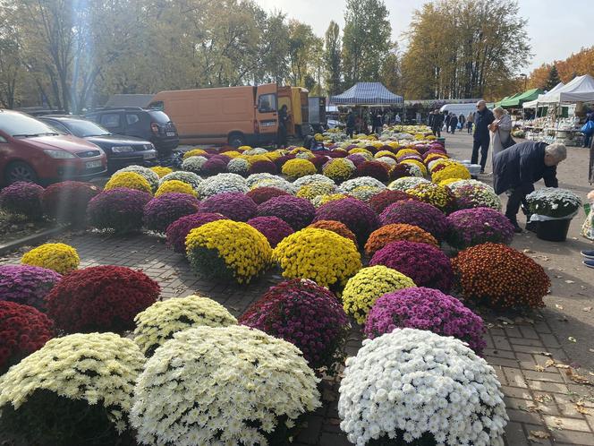 Tak wyglądają przygotowania do Wszystkich Świętych w Warszawie. Zobacz zdjęcia