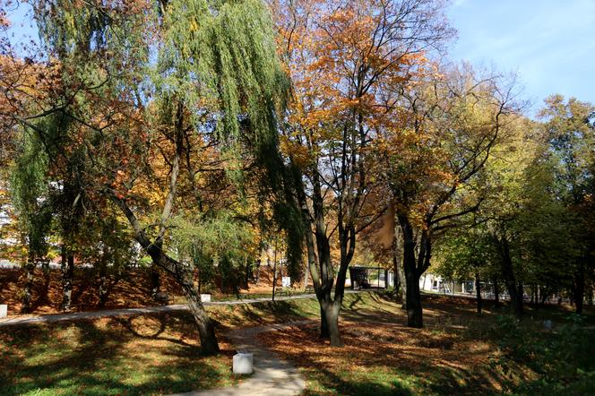 Park Miejski, Starachowice