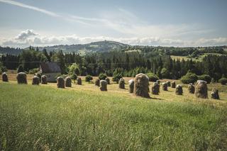 Ruszyła Polska Na Przełaj IV - śledź trasę Wędrownych Motyli pod naszym patronatem i poznawaj piękne miejsca w Polsce