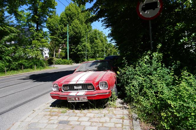 Porucony Ford Mustang przy ulicy Wołyńskiej w Poznaniu