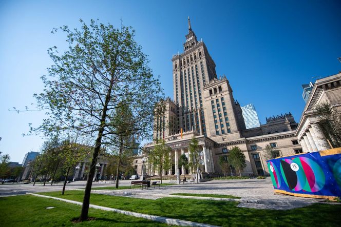 10 tys. zł dla WOŚP za drzewko na pl. Centralnym. Wyjątkowy gest pracowników firmy Balzola