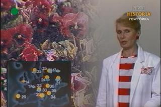 Elżbieta Sommer tak wyglądała w młodości