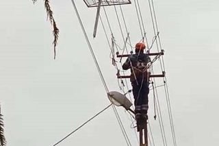 Nowe lokum dla bocianów w Sieniawie.