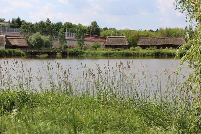 Skansen w Lublinie zachwyca w słoneczny letni dzień!