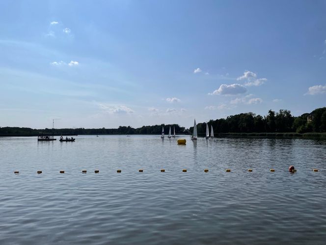 Regaty w Osieczej