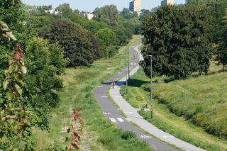 Czy w Lublinie planowana jest wycinka drzew? Ratusz odpowiada