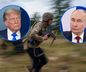 Trump ma się osobiście spotkać z Putinem! NYT podał datę. Dołączy do nich Zełenski?