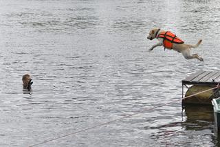 Codziennie ktoś tonie