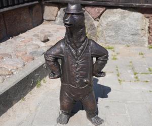 Nowe WidziMisie w Białymstoku! Zobacz wszystkie rzeźby białostockich niedźwiadków