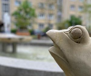 Fontanna z żabkami wróci na skwer na Woli