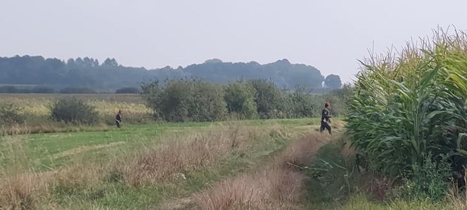 Dron w Cześnikach