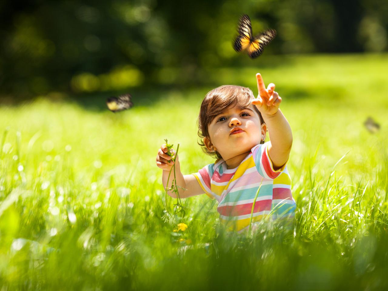 Jak chronić dziecko przed ukąszeniami owadów: komarów, meszek, kleszczy, os i pszczół