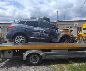 Galeria: „Kobra” znowu w akcji. Odzyskali luksusowe auta skradzione z Hiszpanii i Szwecji