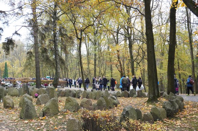 Tłumy na cmentarzu na Miłostowie