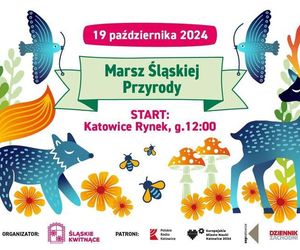 Co się dzieje w weekend 18-20 października w woj. śląskim. Imprezy w Katowicach i okolicach