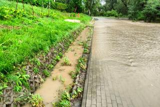 Zalane drogi, powalone drzewa, woda w piwnicach. To skutki czwartkowych nawałnic, które przeszły przez region tarnowski
