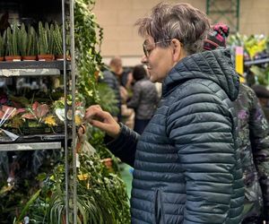 W Lesznie odbędzie się Festiwal Roślin 