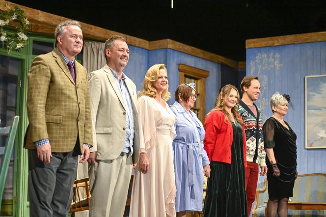 Tomasz Gęsikowski, Jacek Rozenek, Małgorzata Sadowska, Krystyna Tkacz, Katarzyna Polewany, Stefan Pawłowski, Sławomira Łozińska