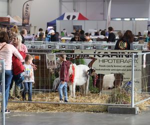 ZooPark ponownie przyciągnął do Targów Lublin tłumy miłośników zwierząt