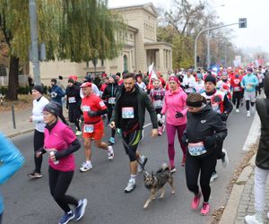 Bieg Niepodległości RUNPOLAND w Poznaniu