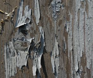 Przy remoncie Domu Ludowego odkryto cerkiew