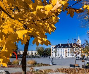 Opolscy studenci chcą sięgnąć gwiazd!