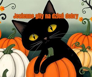 Jesienne gify na dzień dobry. Kolorowe obrazki i kartki do wysłania znajomym