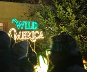 Garden of Lights we Wrocławiu