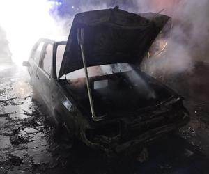 Nocny pożar w Mogilnie. Auto spłonęło doszczętnie [ZDJĘCIA]