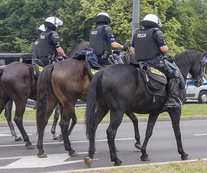 Policja konna budzi respekt. Sam widok dużego konia, który niczego się nie boi, odstrasza