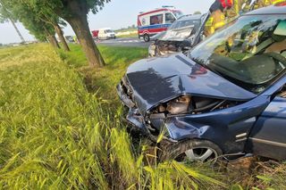Wypadek niedaleko Gostynia. Kobieta zasnęła za kółkiem